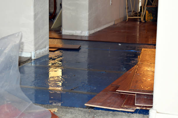 Professional Basement Flood Cleanup technician working in Mount Blanchard, OH